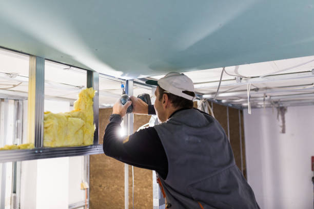 Best Attic Insulation Installation  in Alvarado, TX